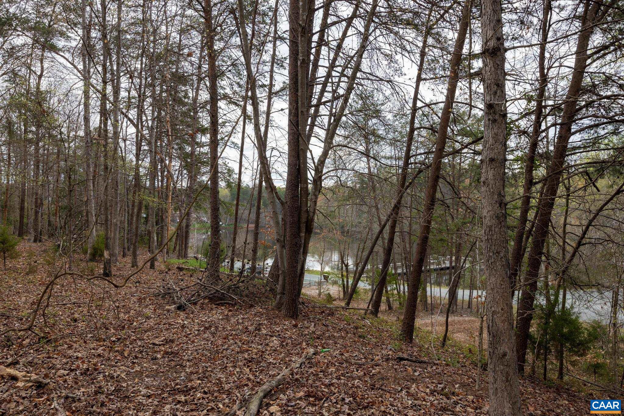 LAKE MONTICELLO - Residential