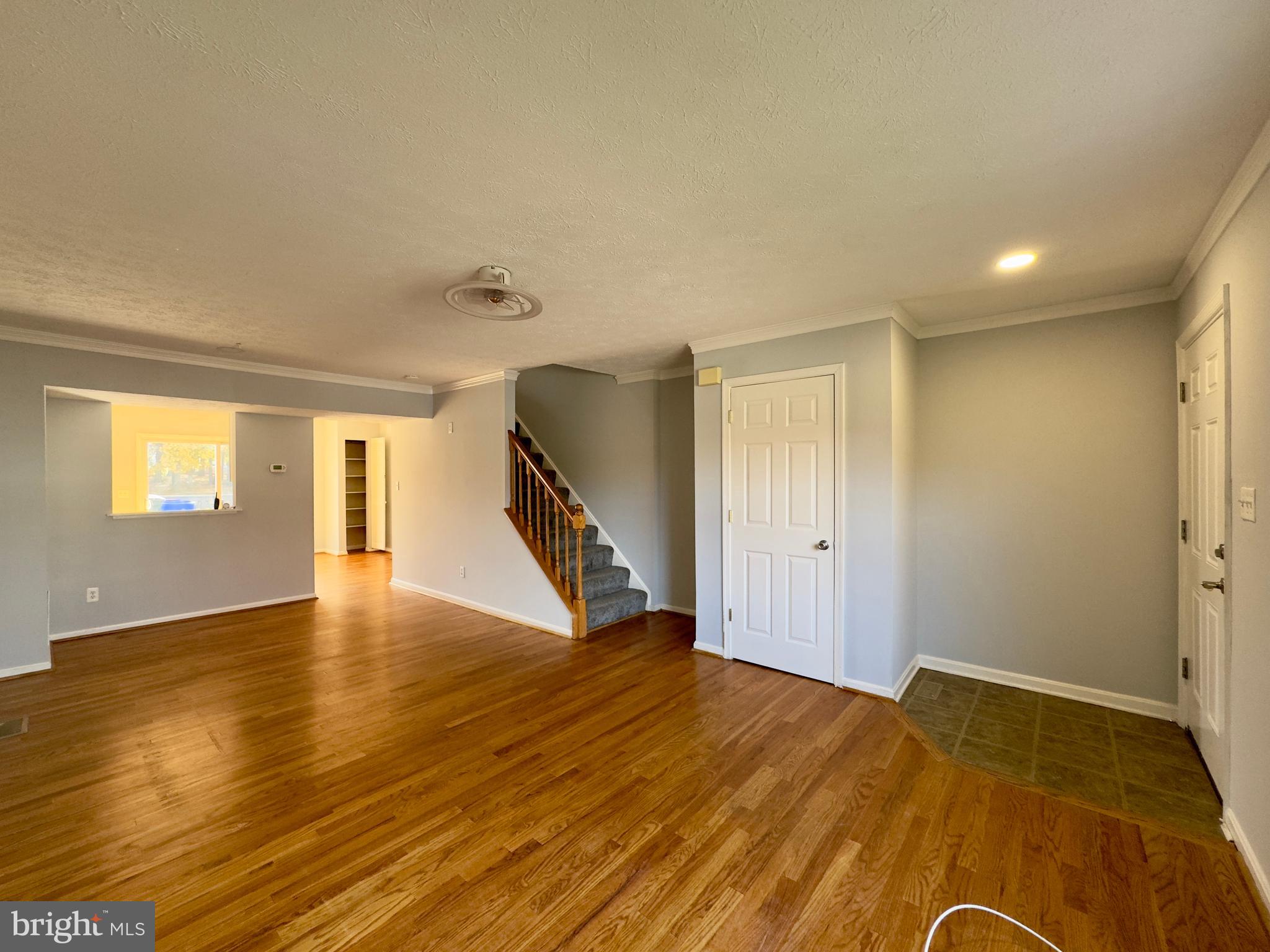 927 OLIVE BRANCH COURT