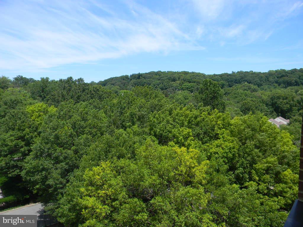 CROSS KEYS - Residential Lease