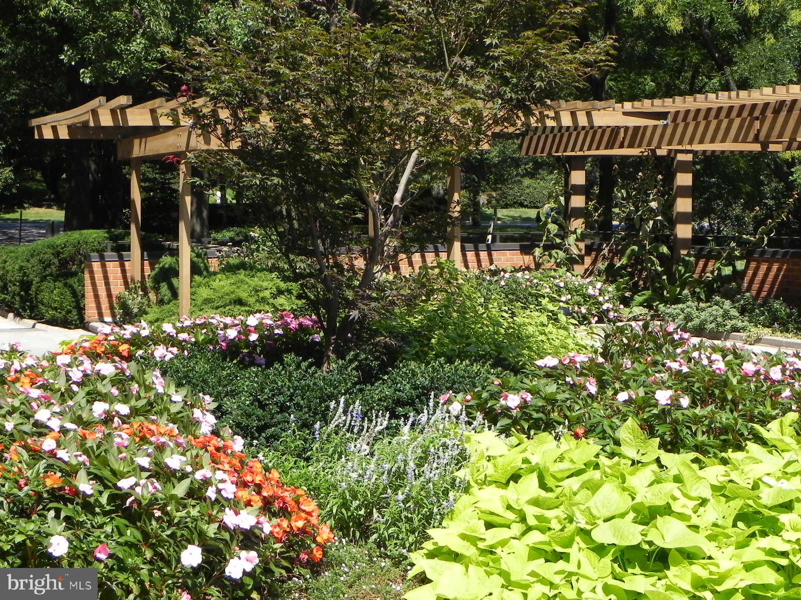 CROSS KEYS - Residential Lease