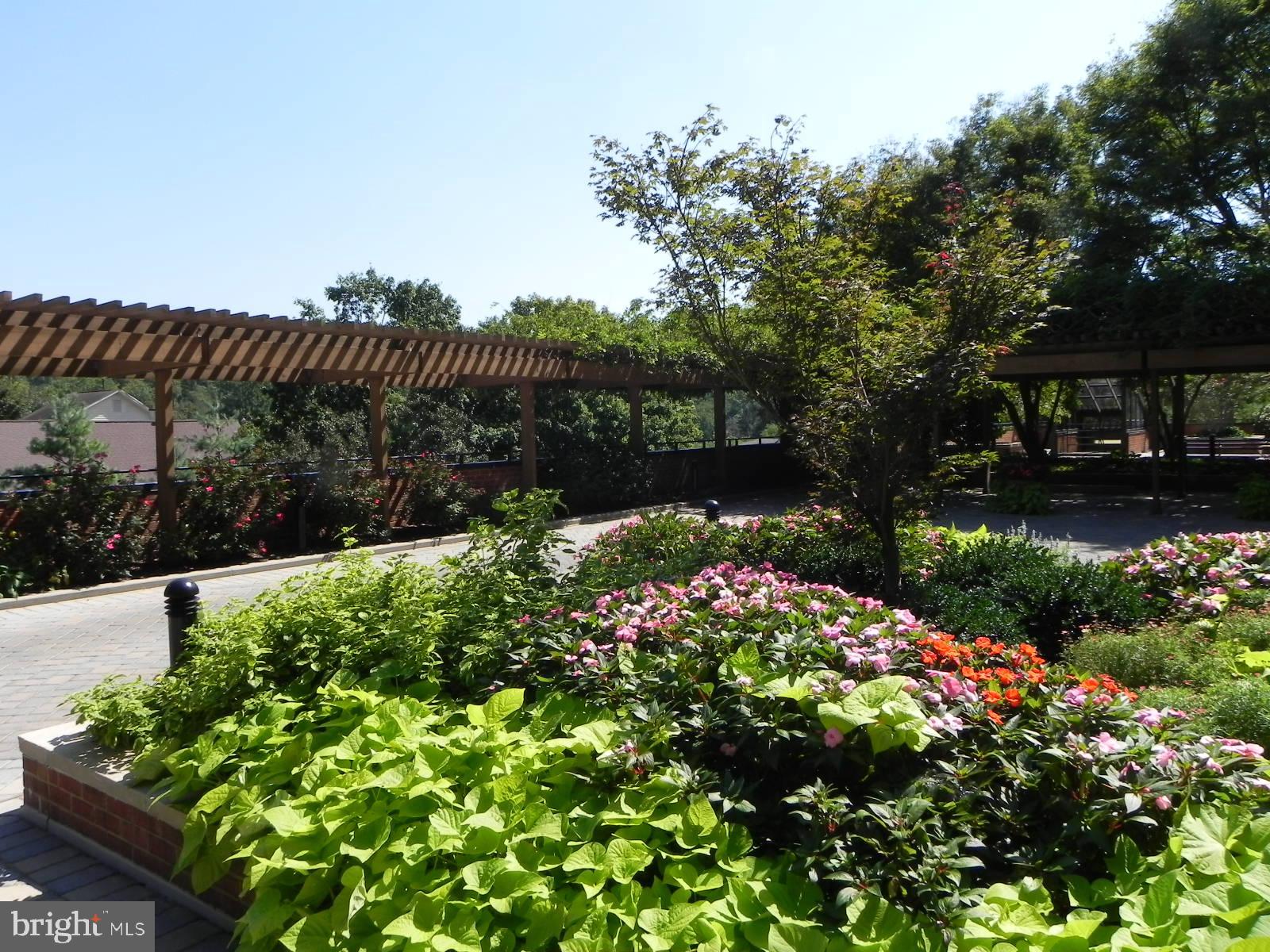 CROSS KEYS - Residential Lease