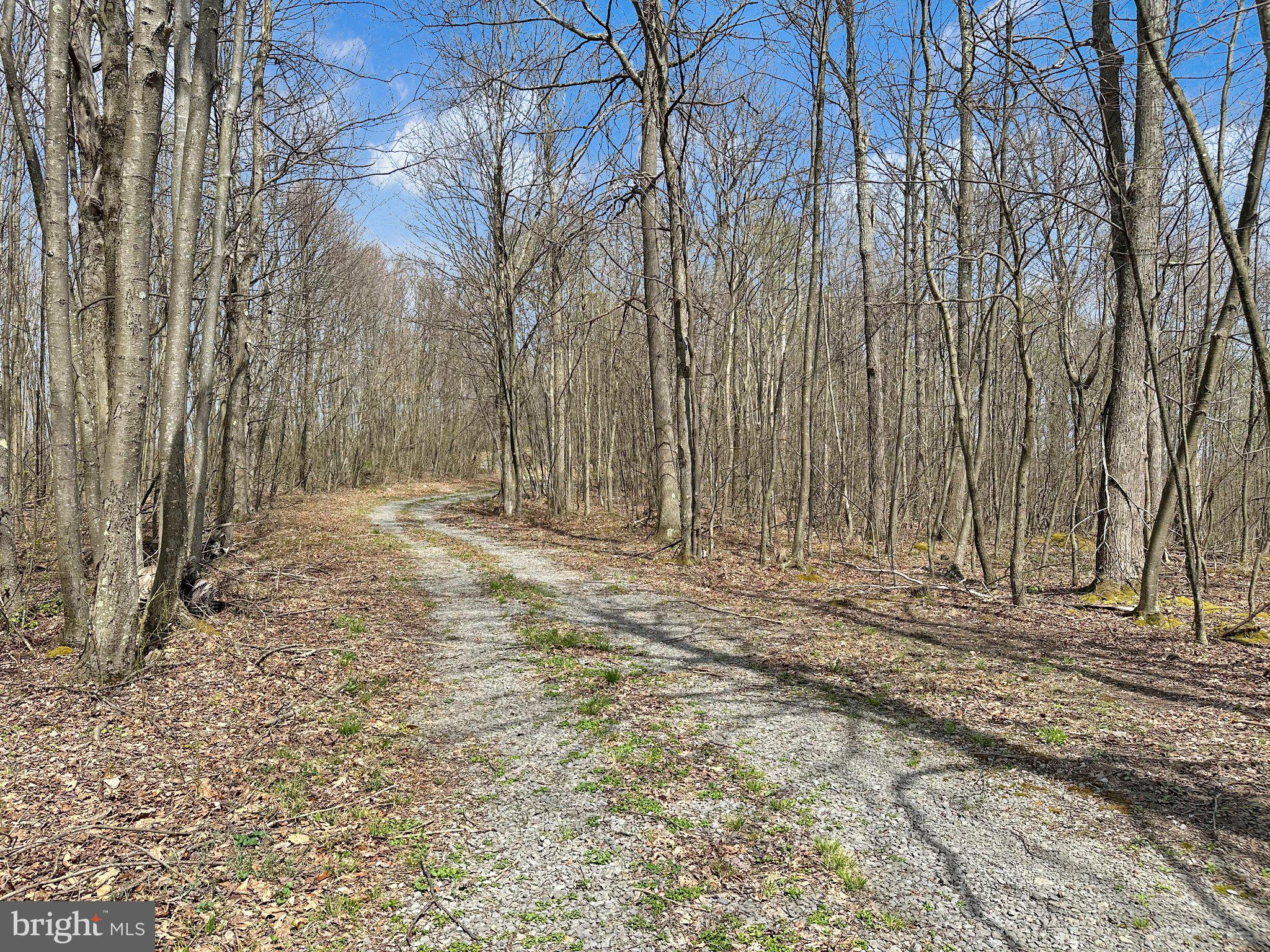 151 MIDDLE RIDGE DRIVE