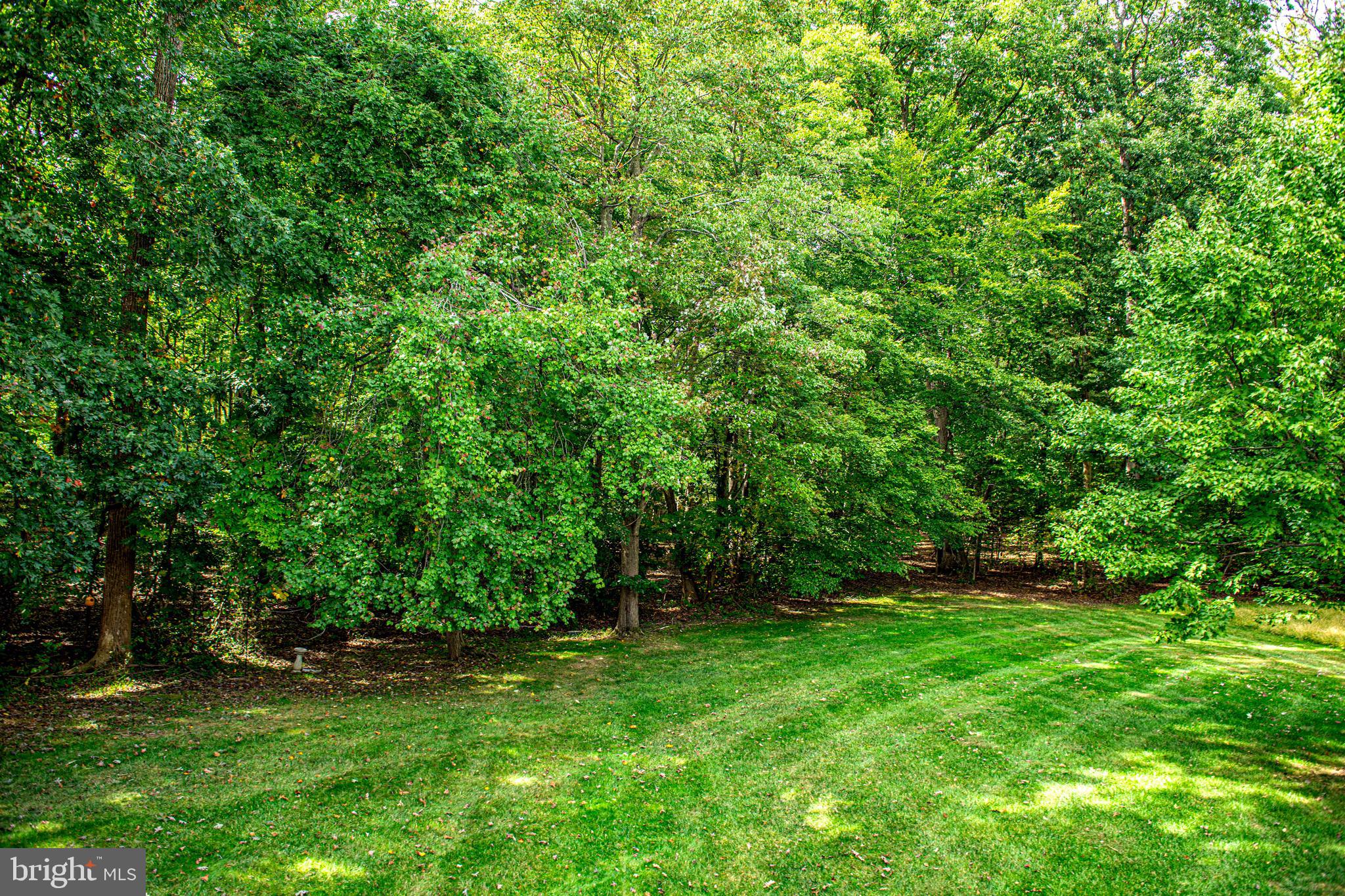 BRENTWOOD PARK - Residential