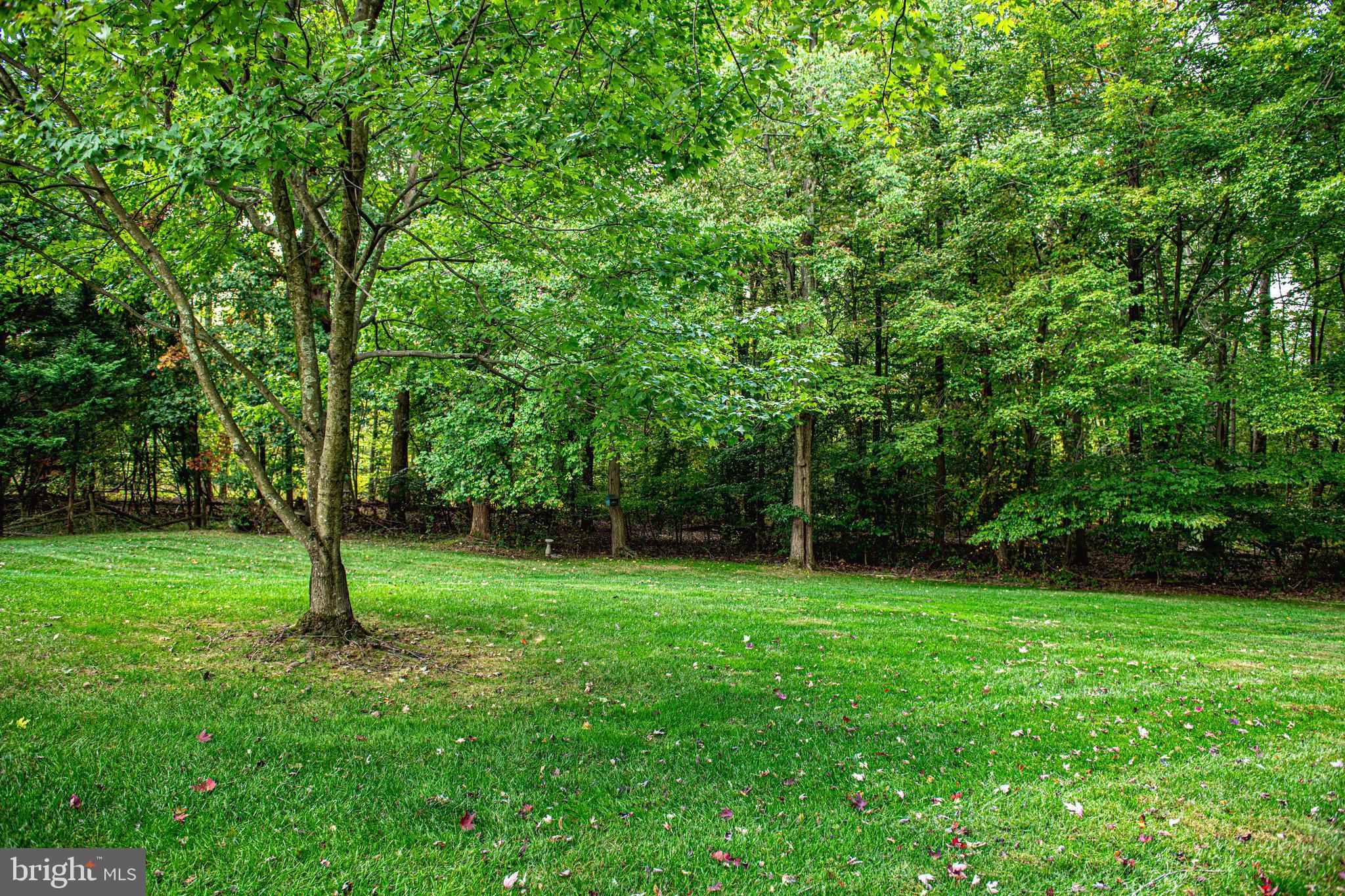 BRENTWOOD PARK - Residential