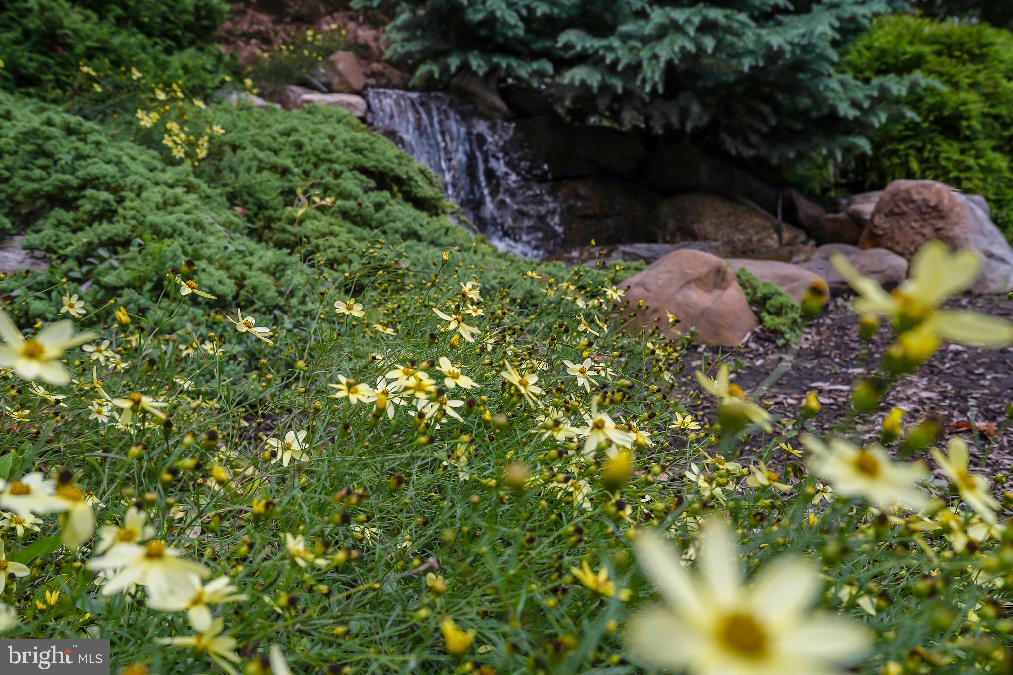 PARKSIDE PLAZA CODM - Residential