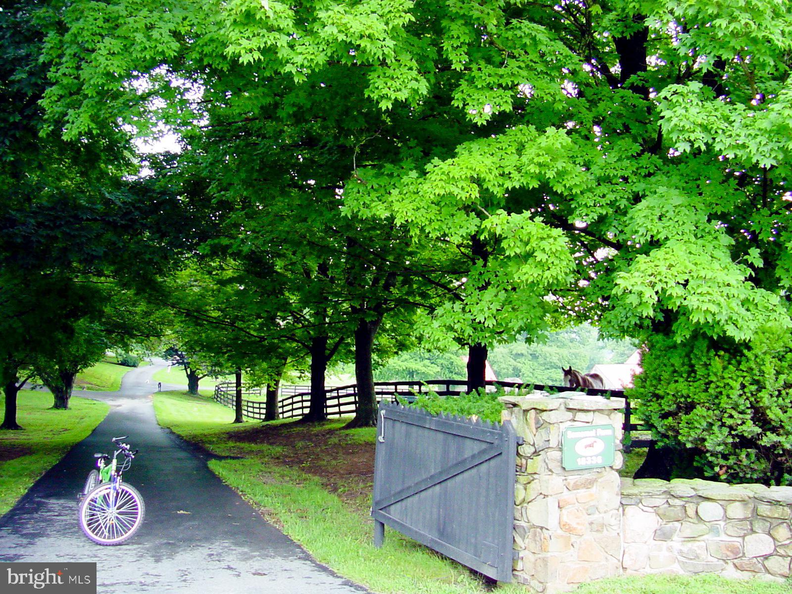 LINCOLN - Residential