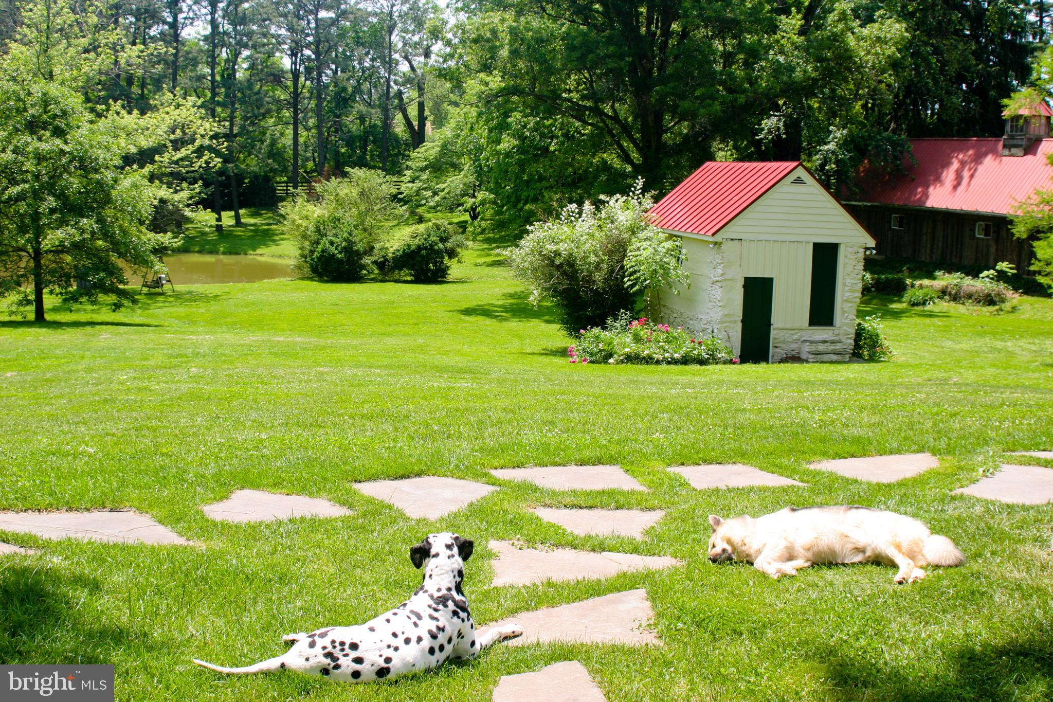 LINCOLN - Residential