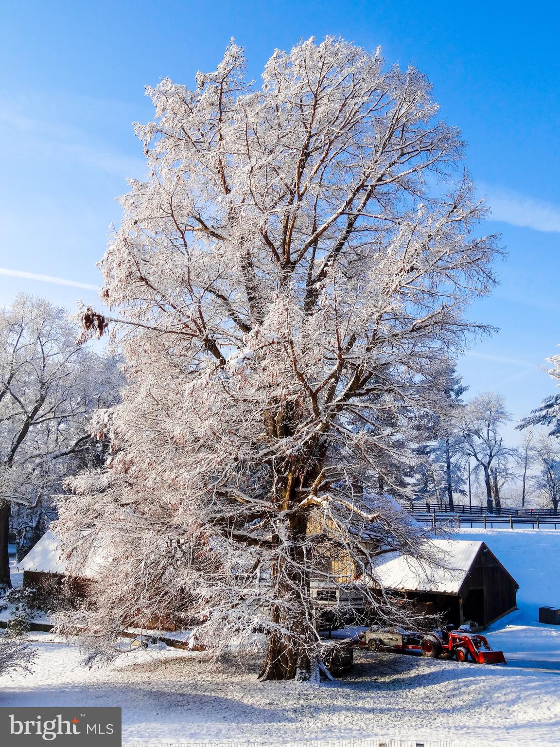 LINCOLN - Residential