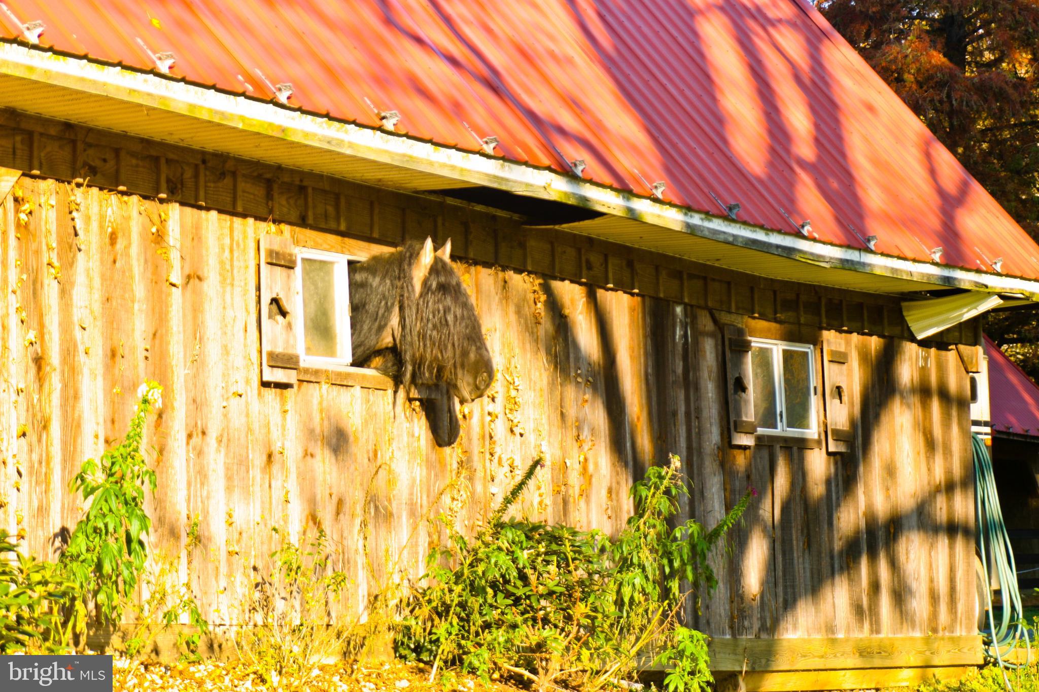 LINCOLN - Residential