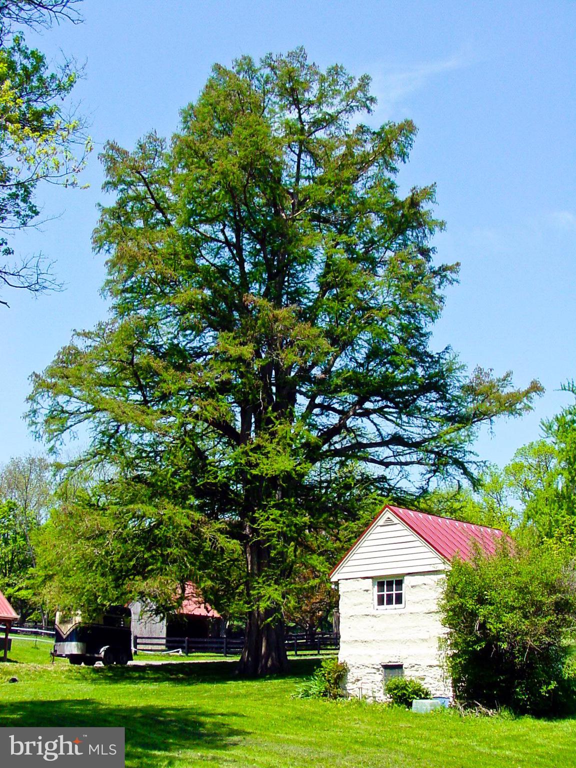 LINCOLN - Residential