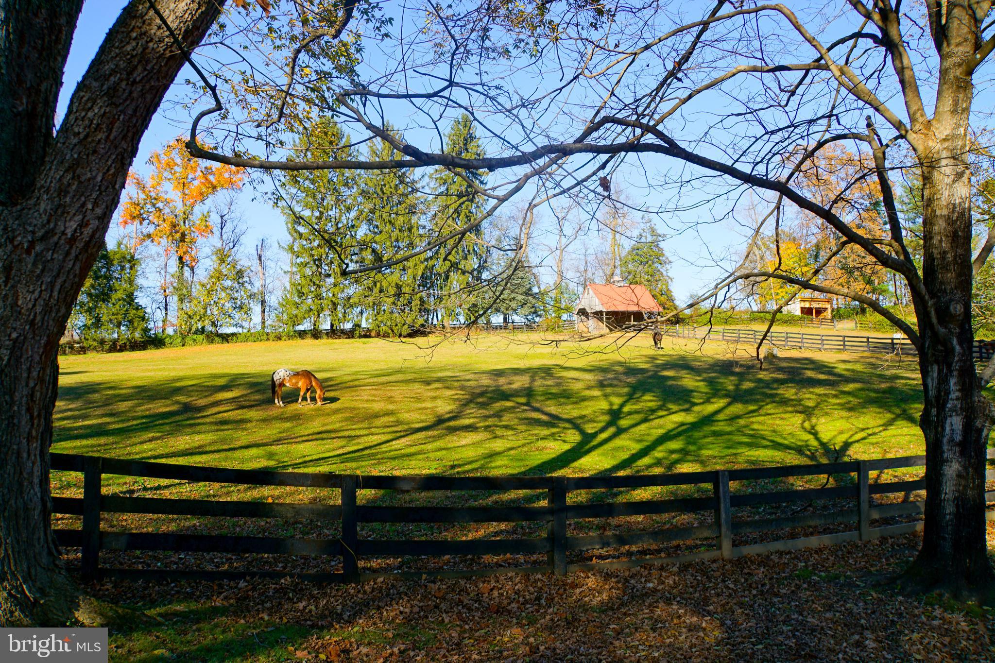 LINCOLN - Residential