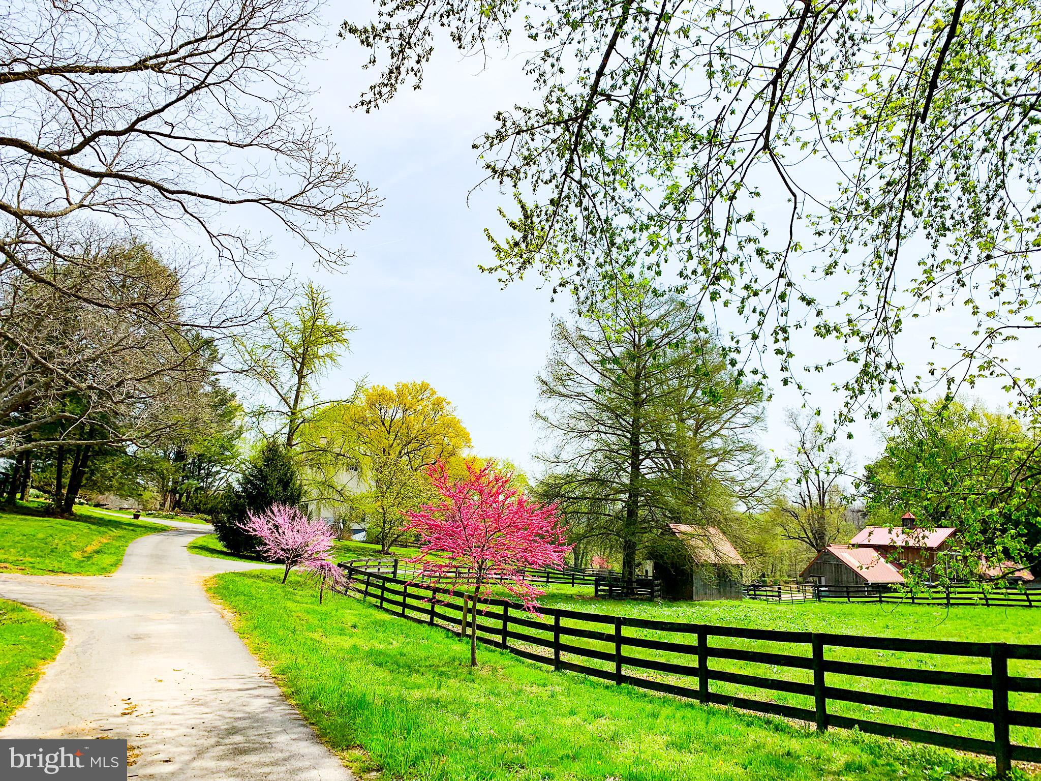 LINCOLN - Residential