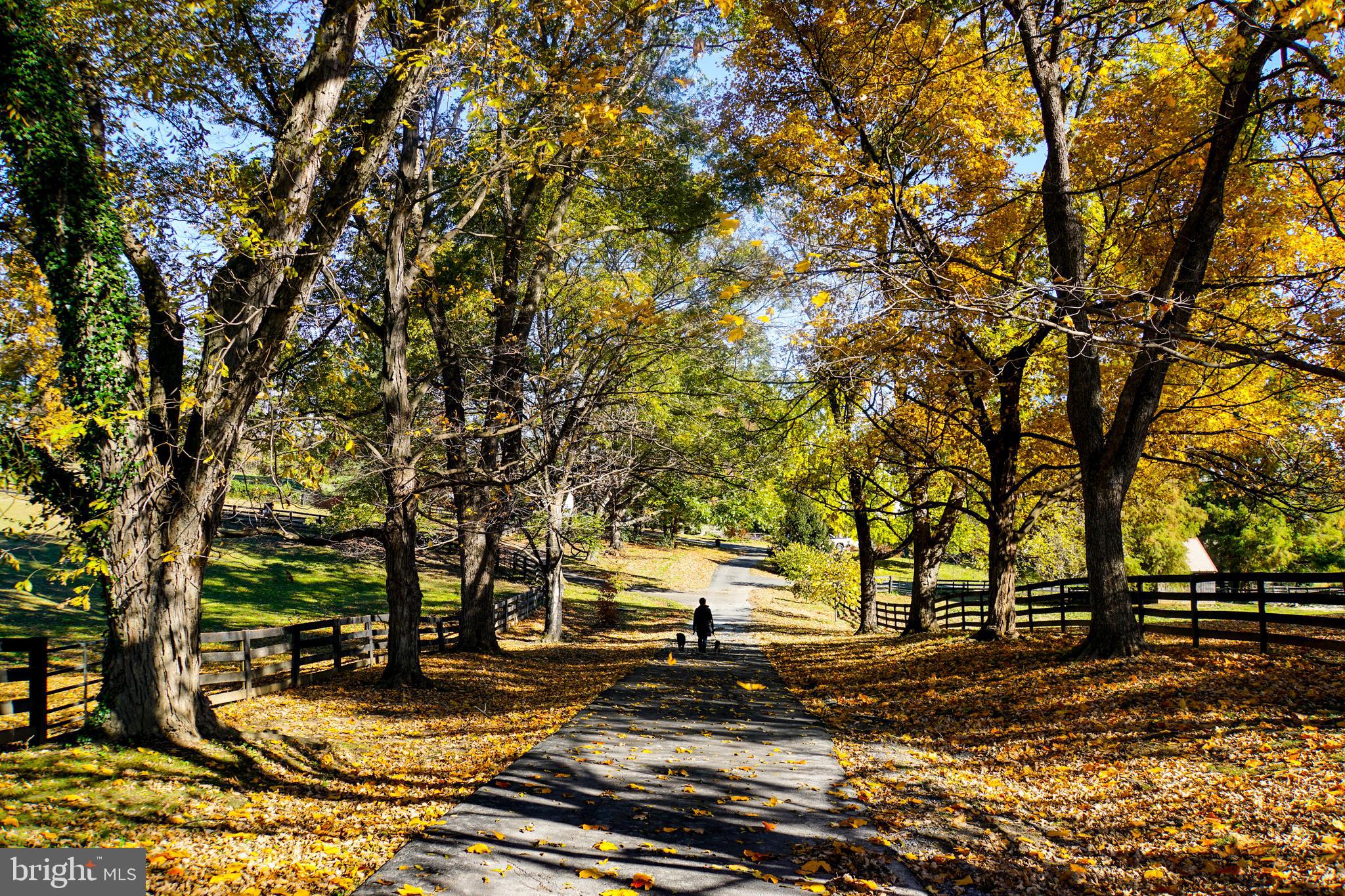 LINCOLN - Residential