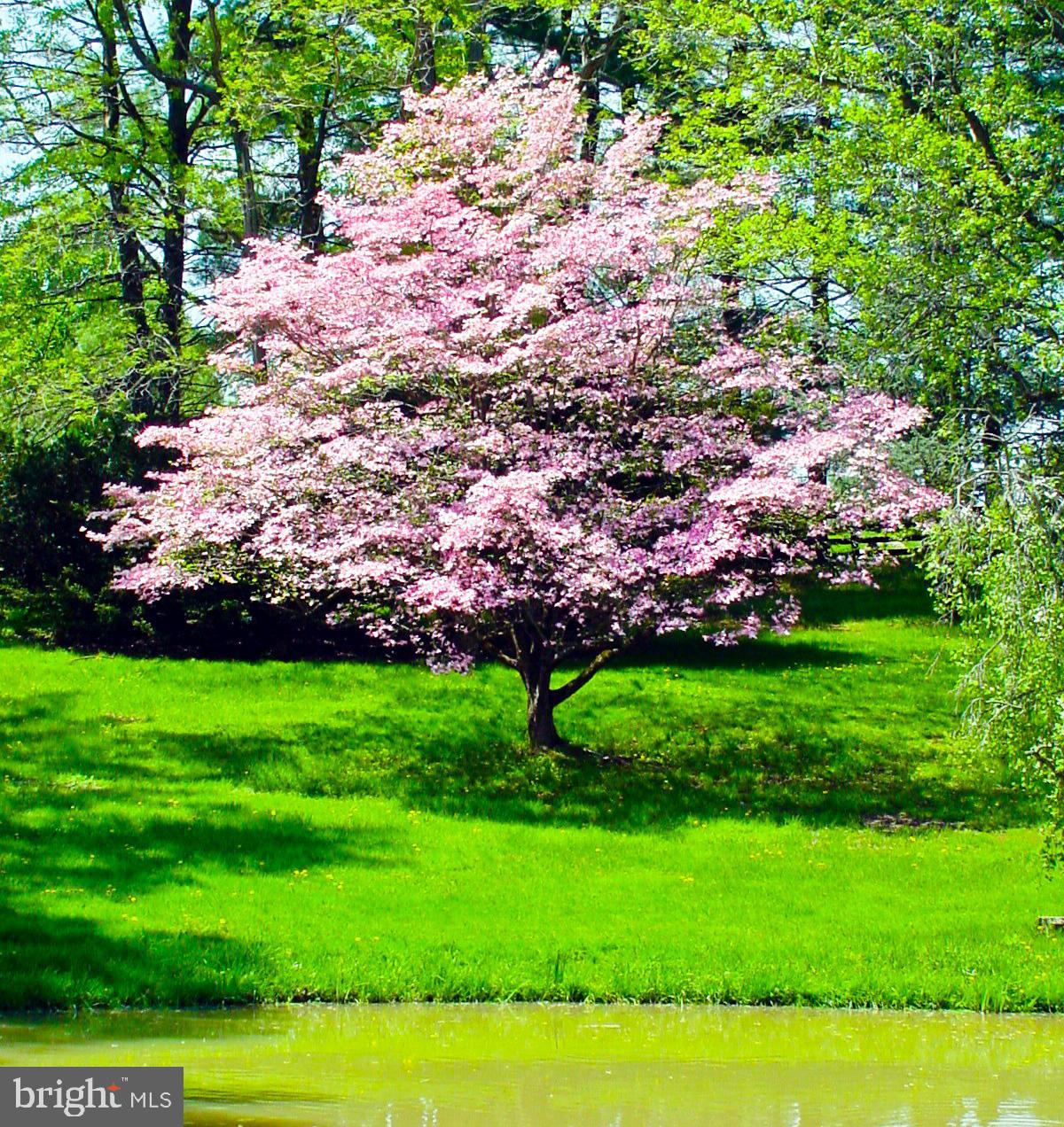 LINCOLN - Residential