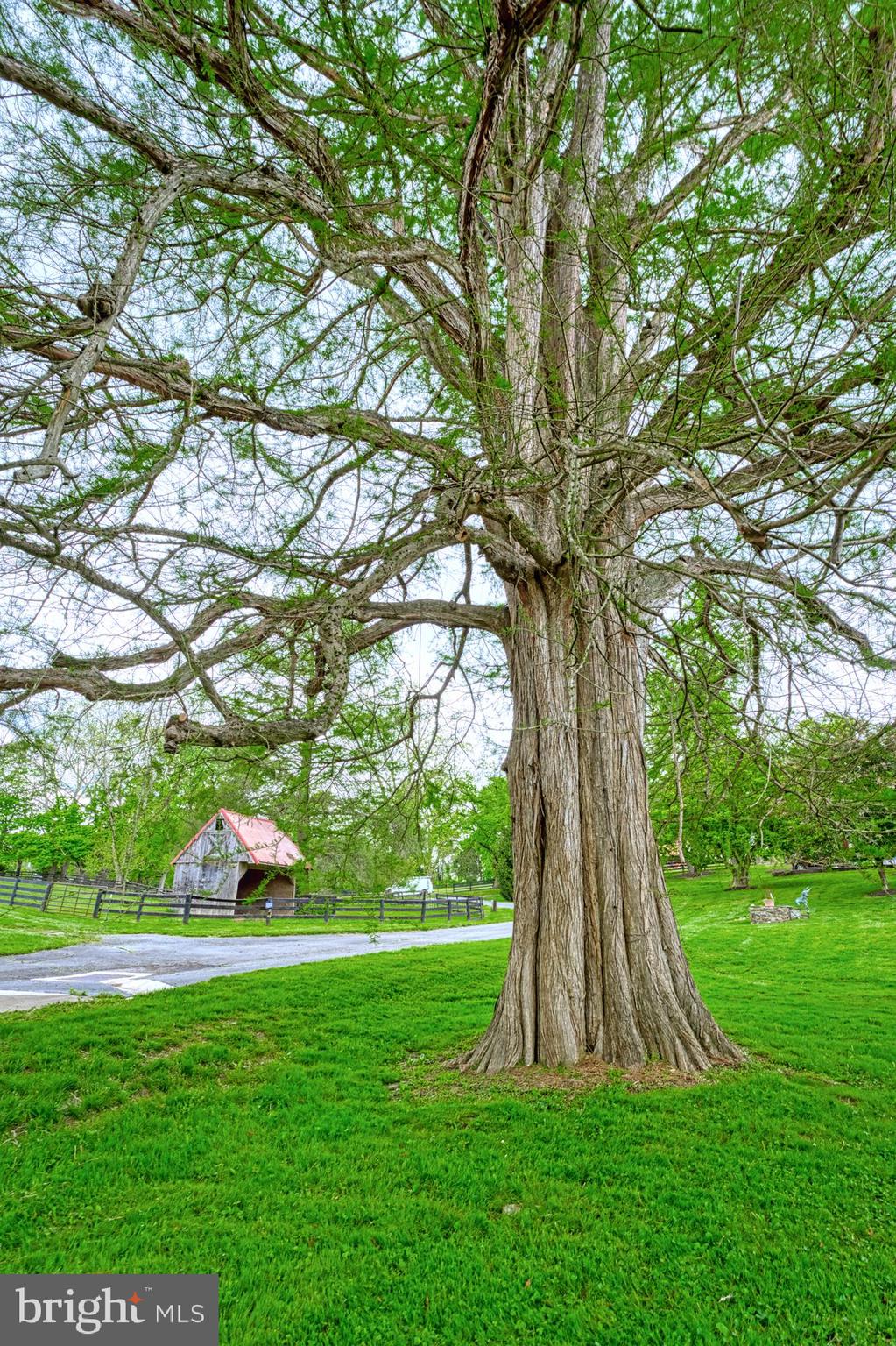 LINCOLN - Residential