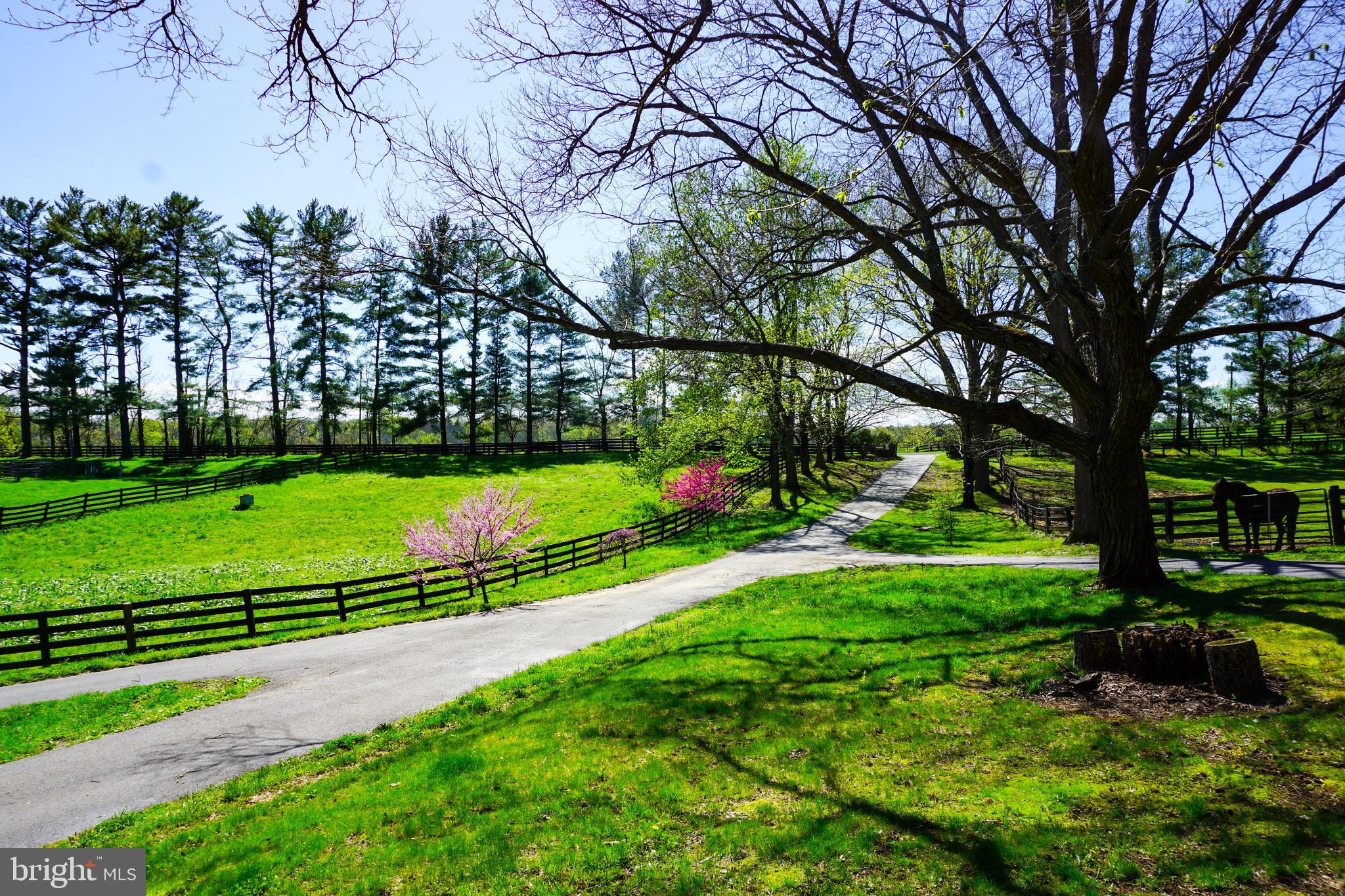 LINCOLN - Residential