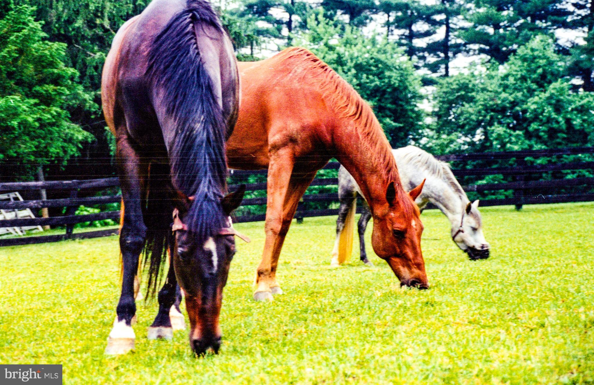 LINCOLN - Residential