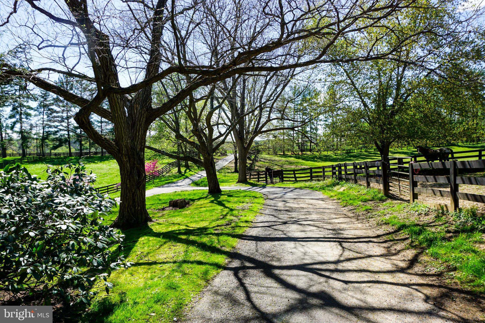 LINCOLN - Residential