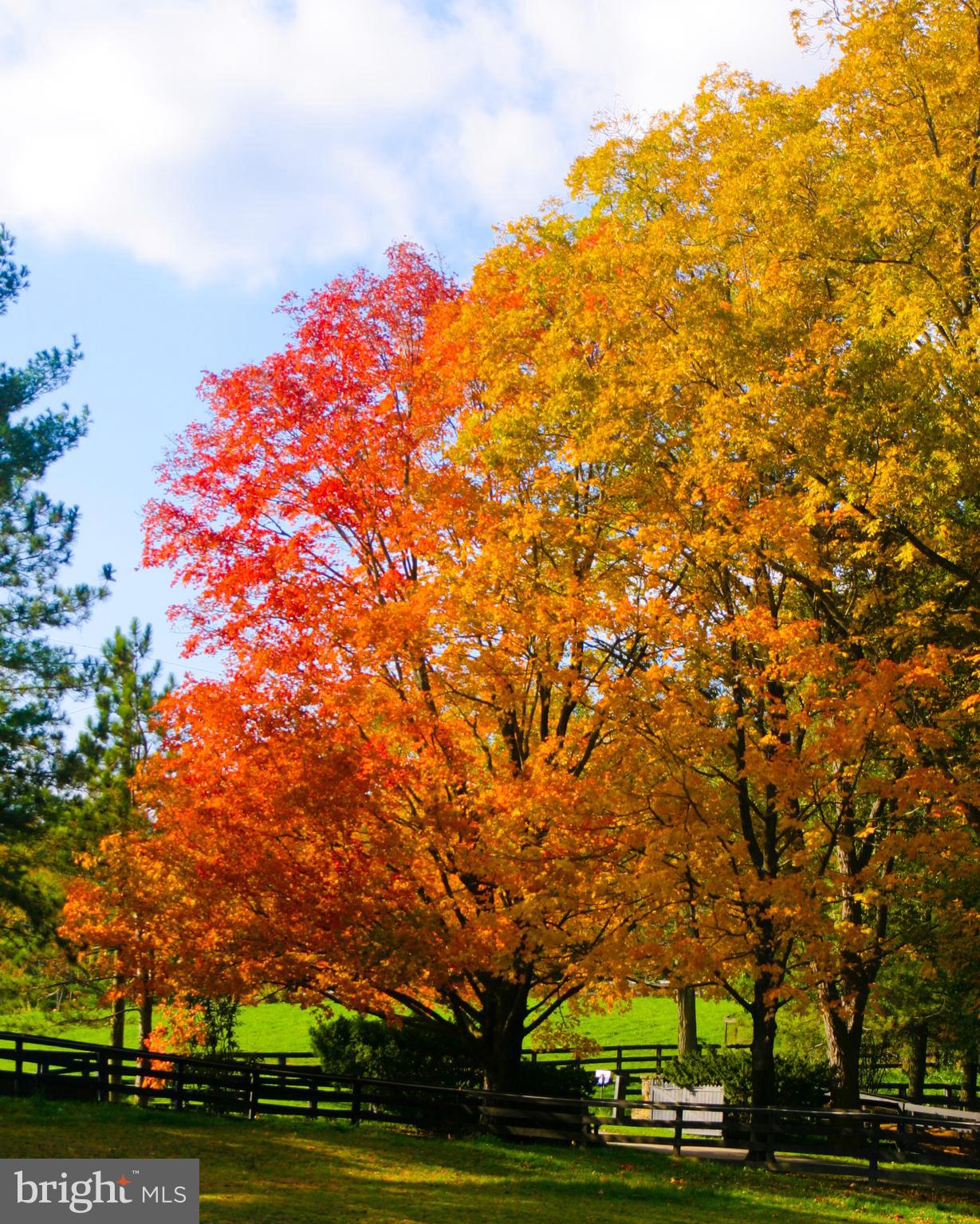 LINCOLN - Residential