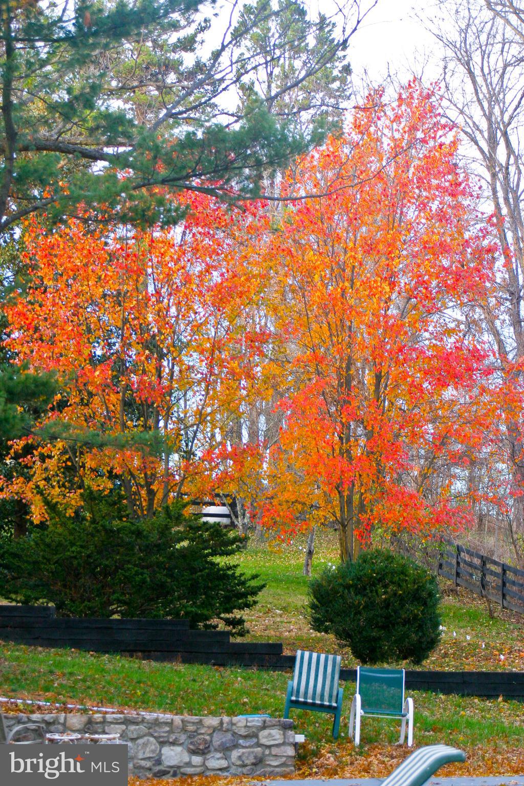 LINCOLN - Residential