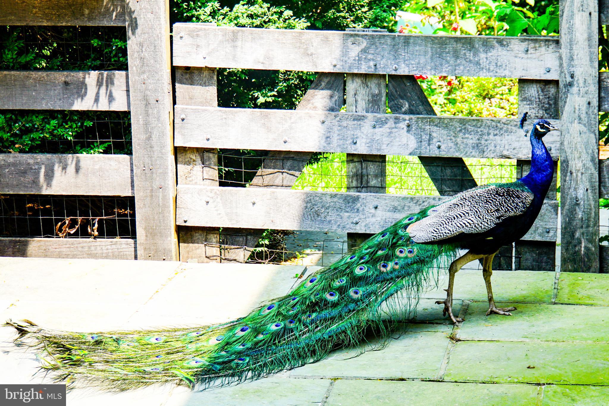 LINCOLN - Residential