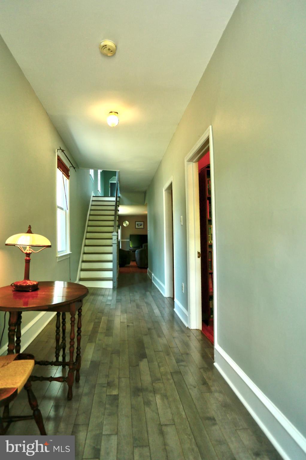 141 POTTER STREET
