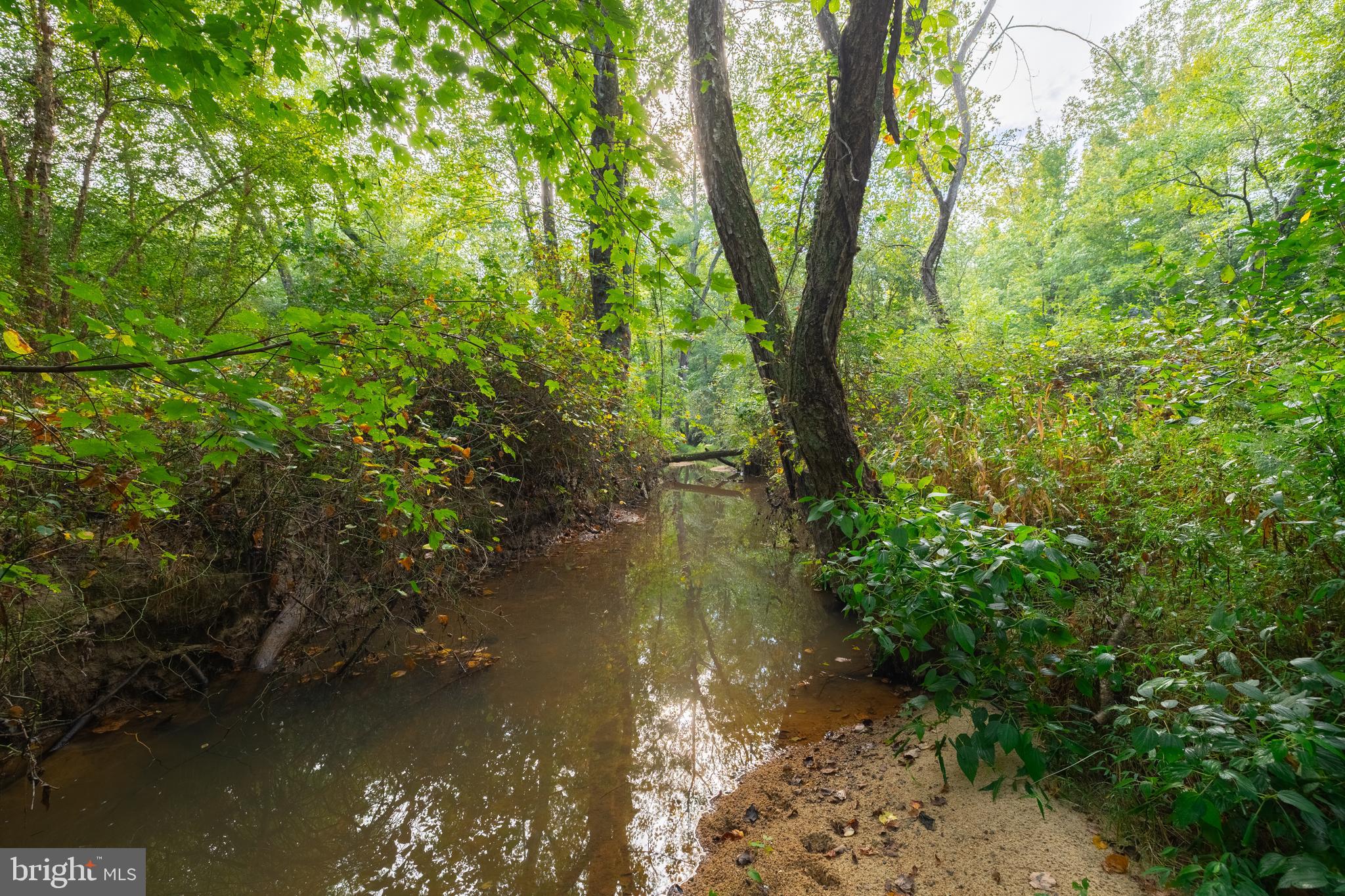 16304 PLEASANT MILL ROAD