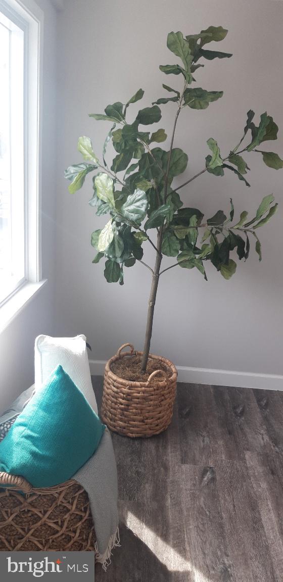 GEORGE JANSSEN - Residential