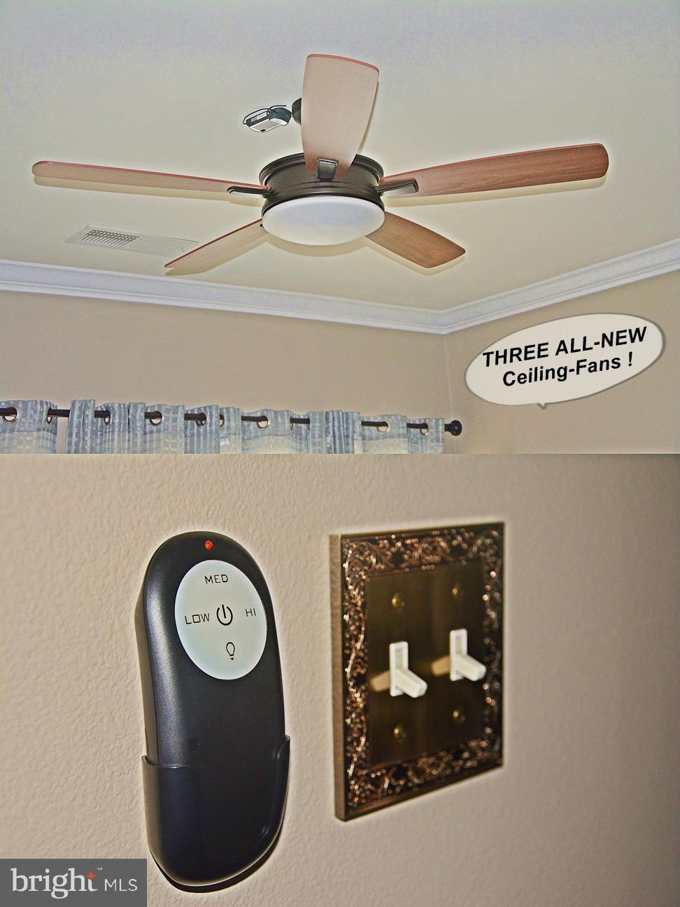 THE ASHMORE - Residential Lease