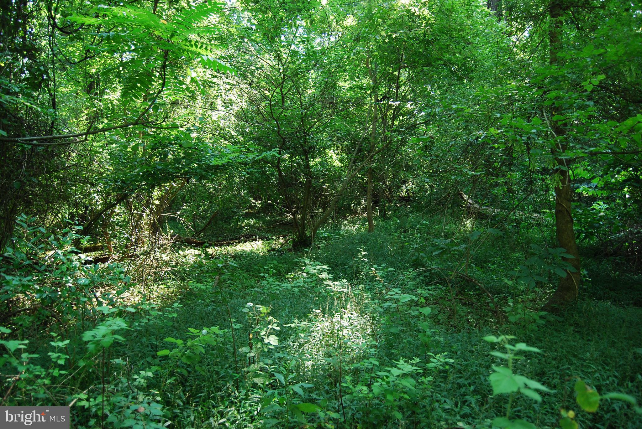 JOHN BROWN FARM - Land