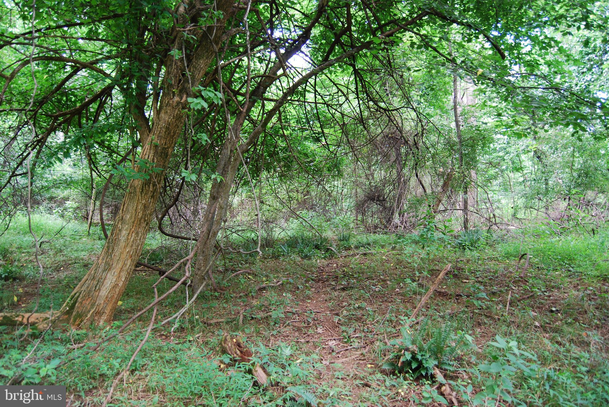 JOHN BROWN FARM - Land