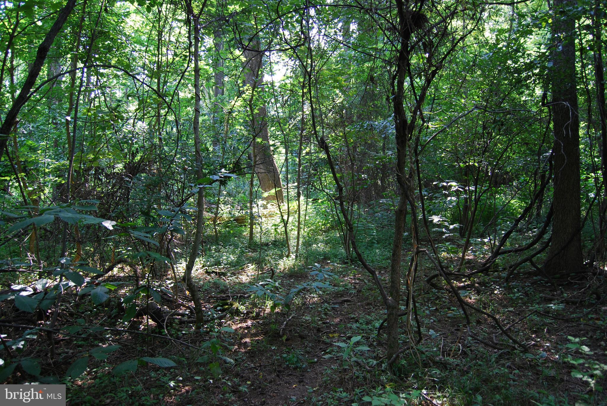 JOHN BROWN FARM - Land