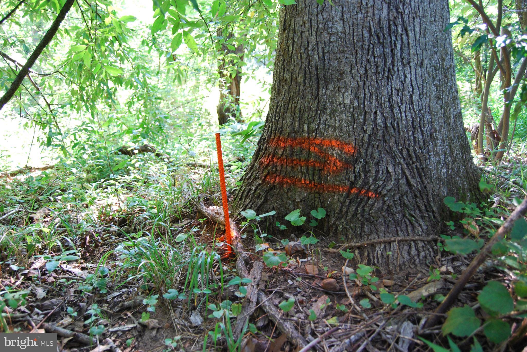 JOHN BROWN FARM - Land