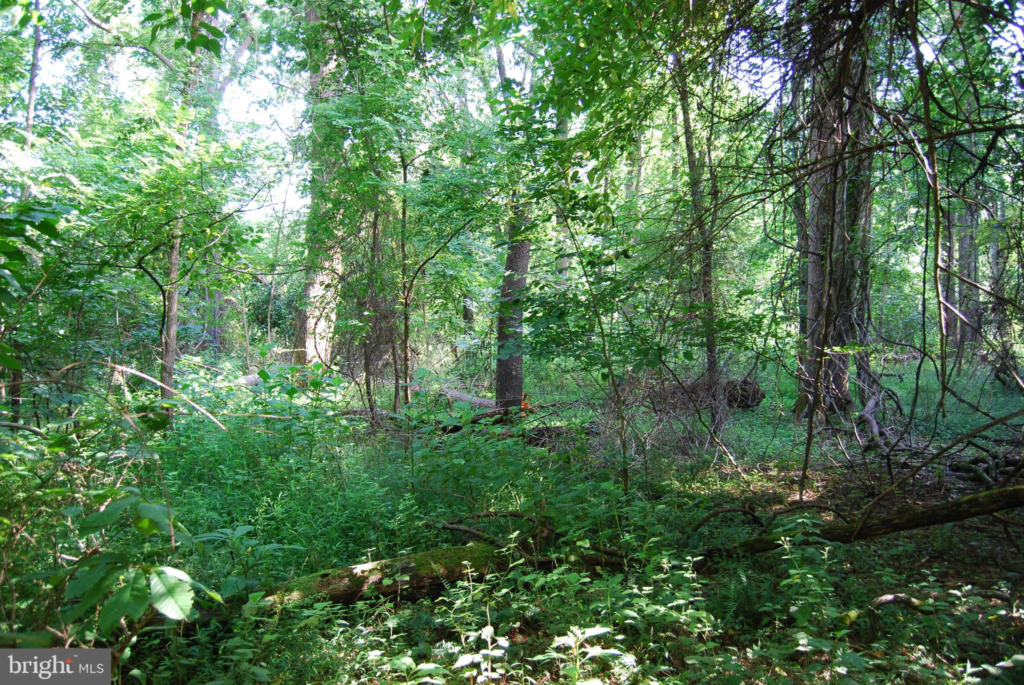 JOHN BROWN FARM - Land