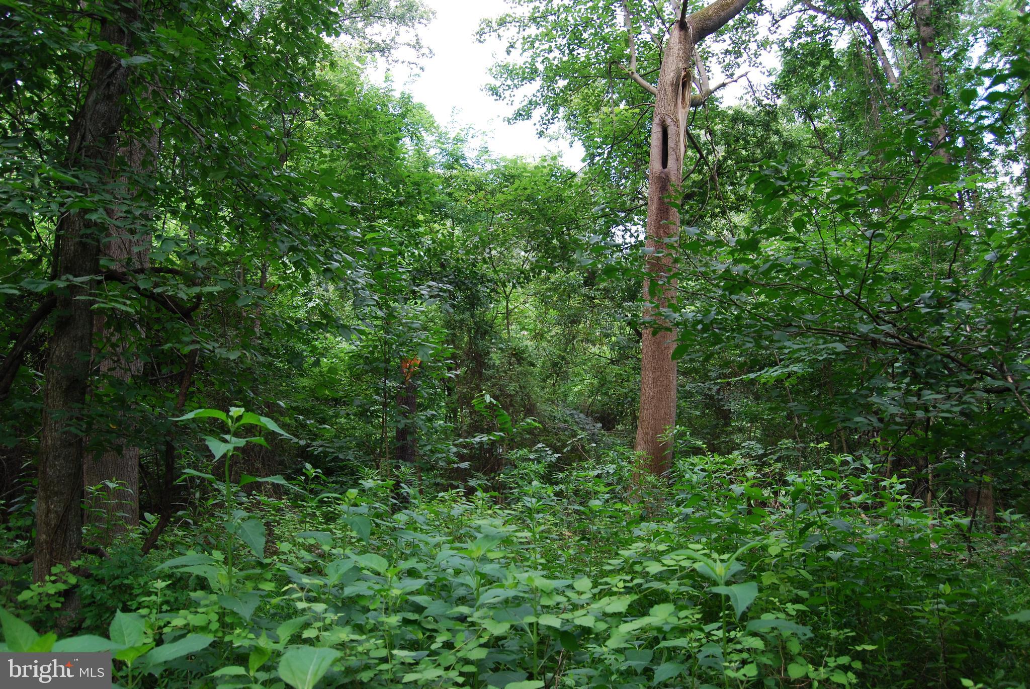 JOHN BROWN FARM - Land