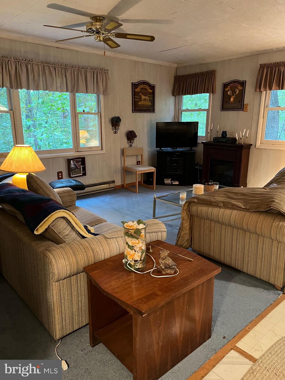 CACAPON RIVER MEADOWS - Residential