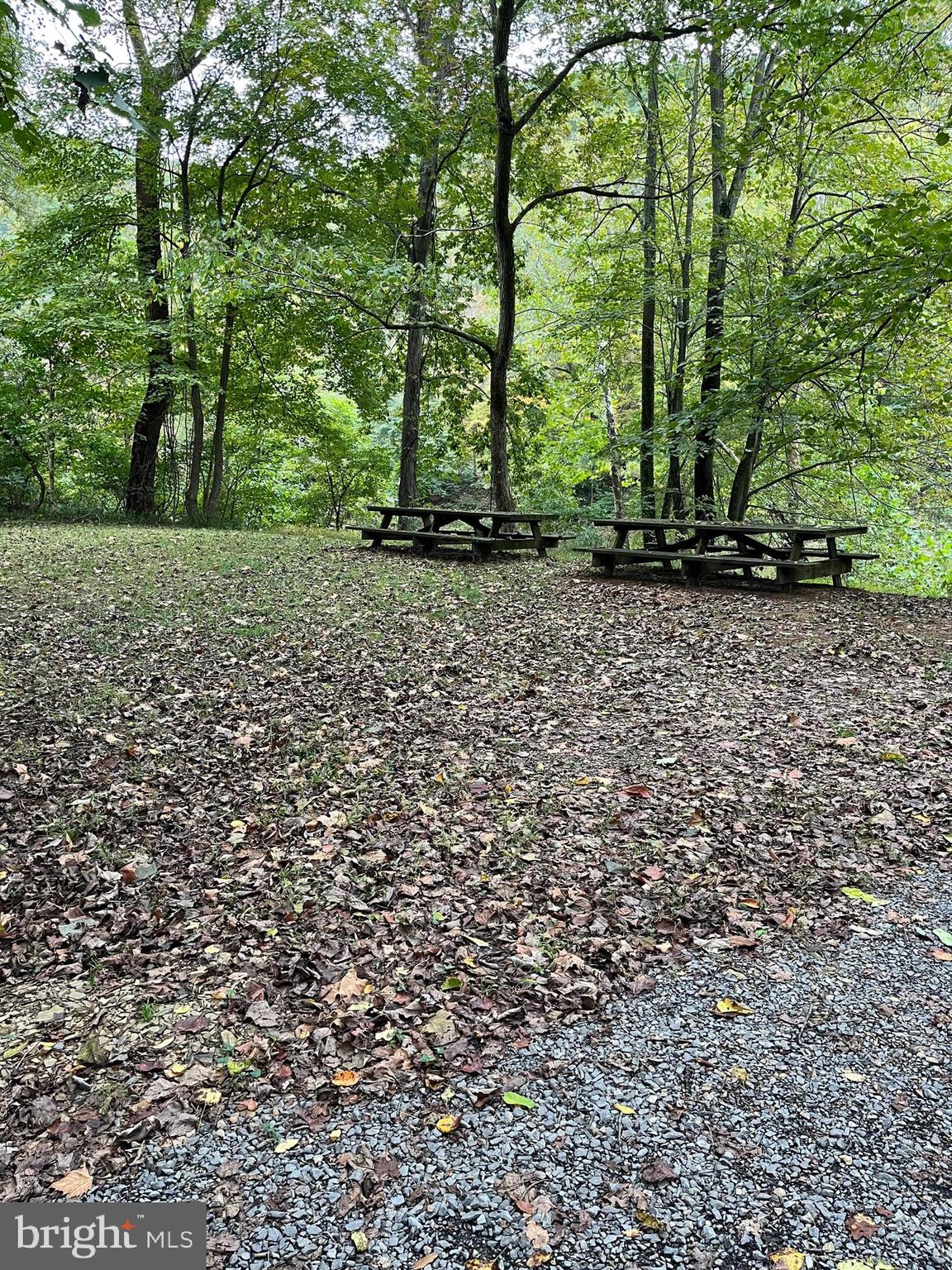 CACAPON RIVER MEADOWS - Residential