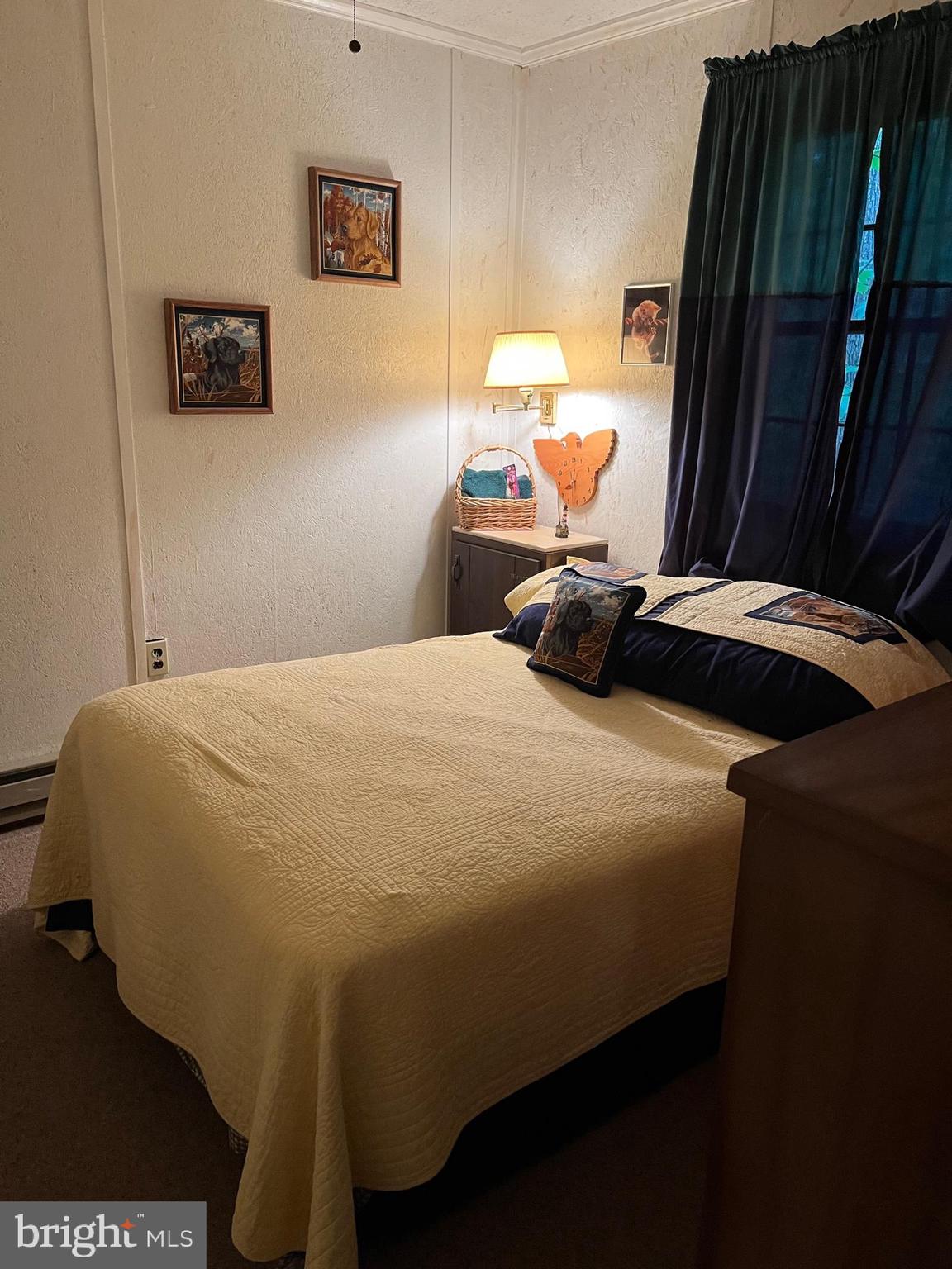 CACAPON RIVER MEADOWS - Residential