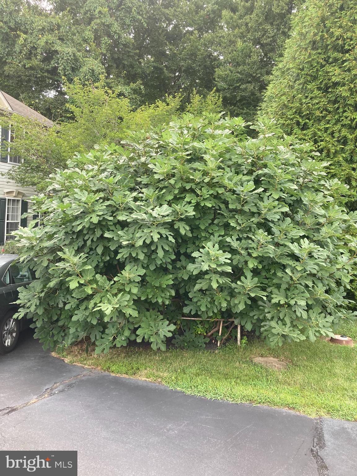 RICHFIELD STATION VILLAGE - Residential