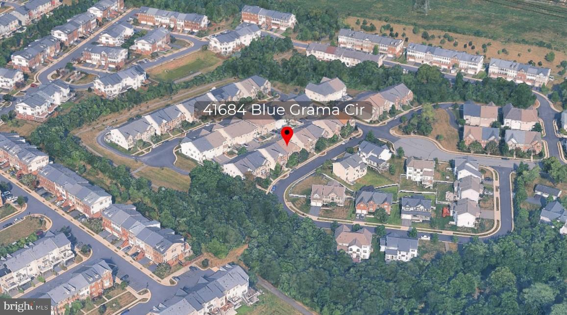 41684 BLUE GRAMA CIRCLE