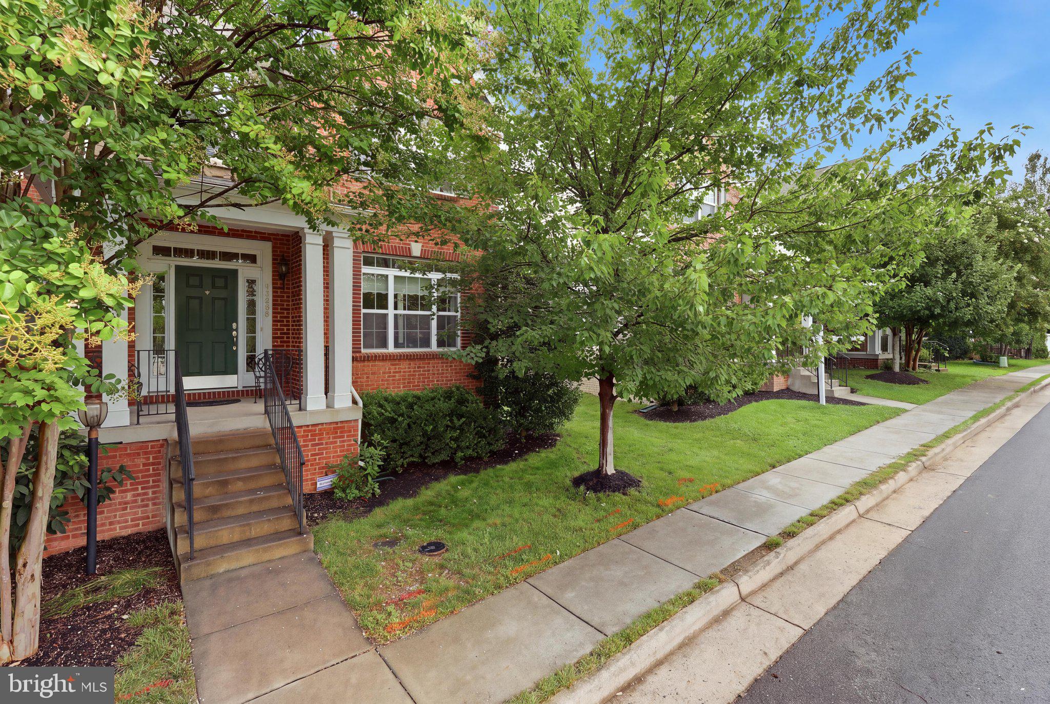 41684 BLUE GRAMA CIRCLE