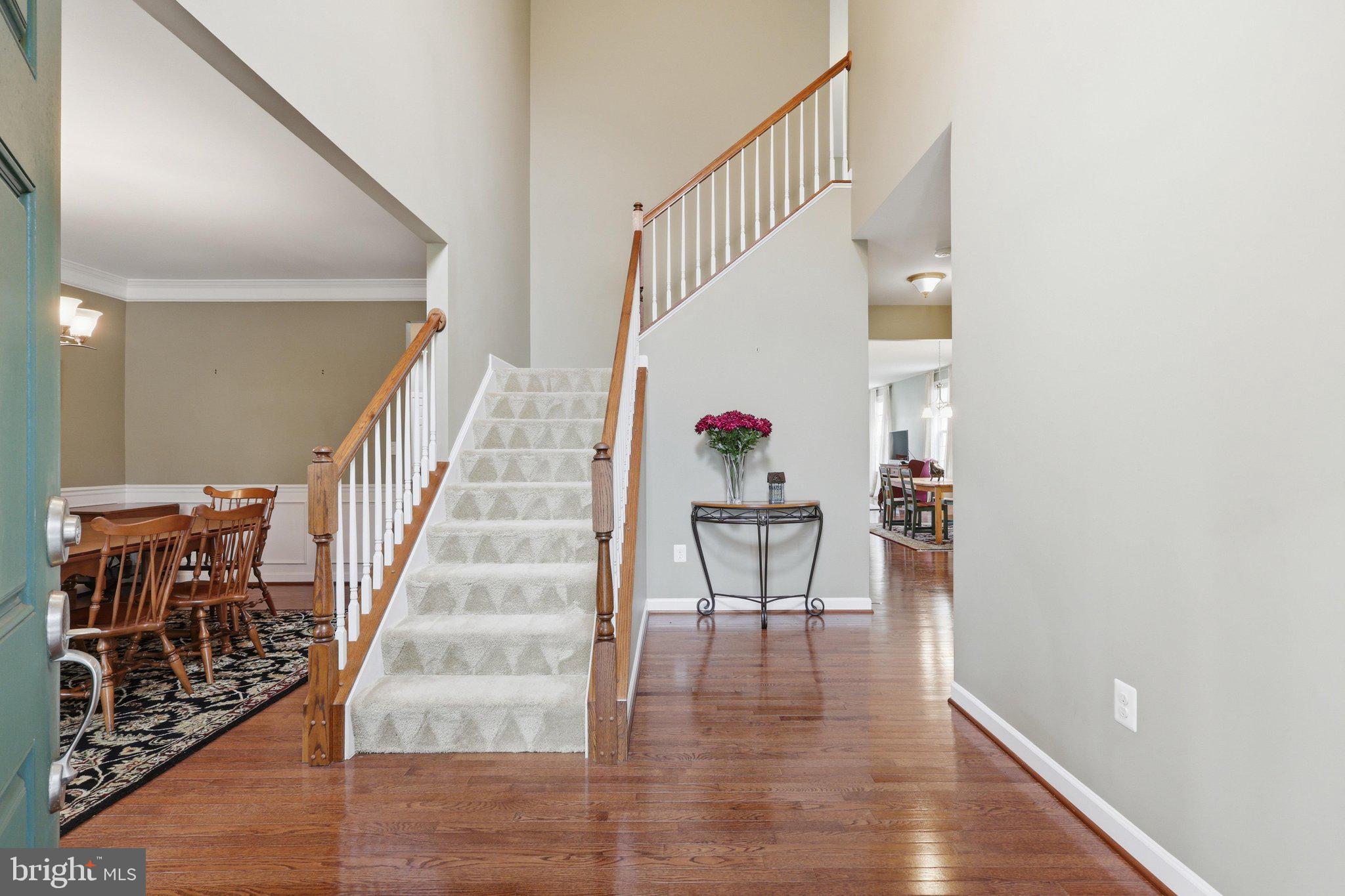 41684 BLUE GRAMA CIRCLE