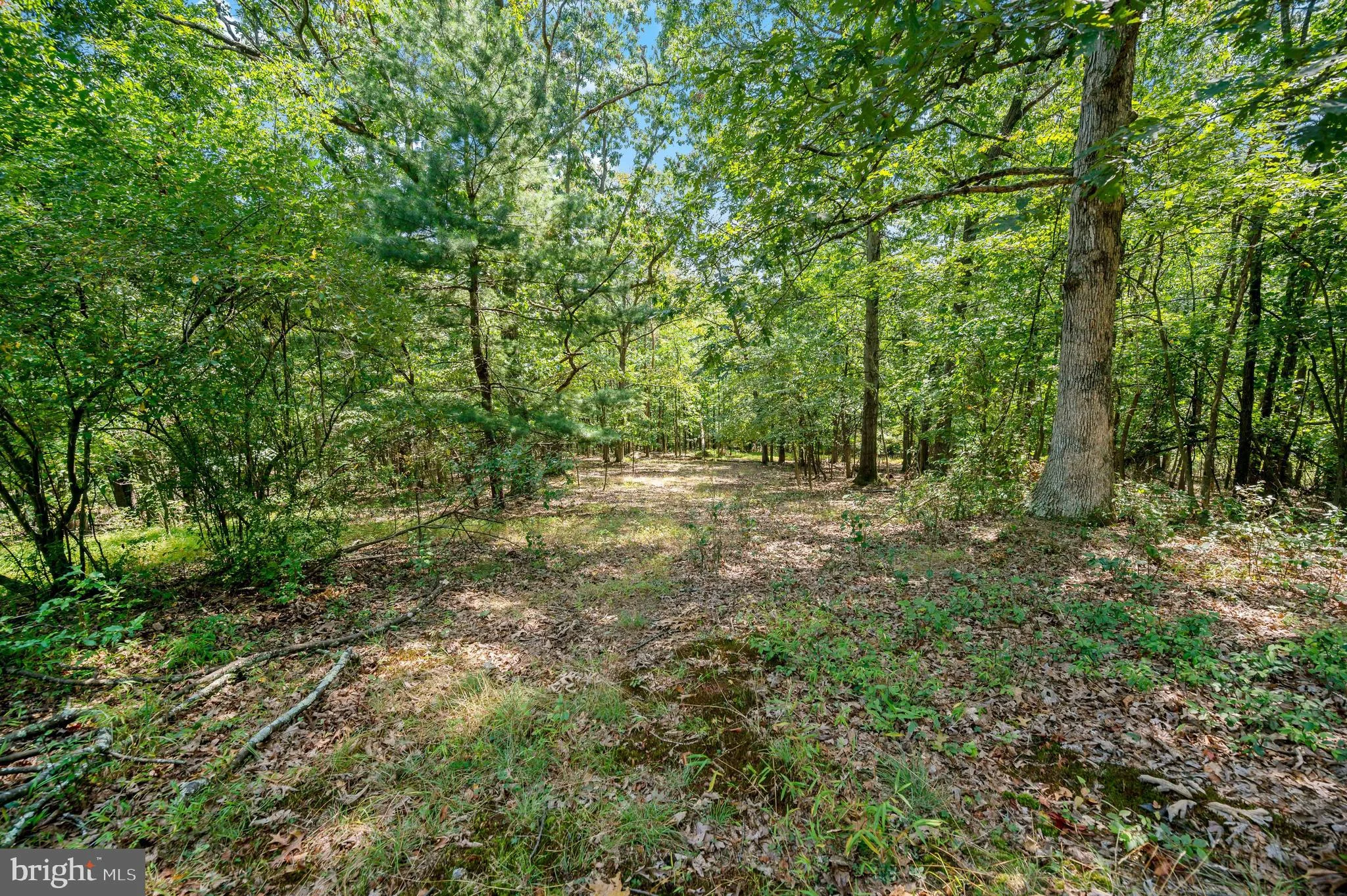 Lot 3D Fairview Drive, Berkeley Springs, WV 25411