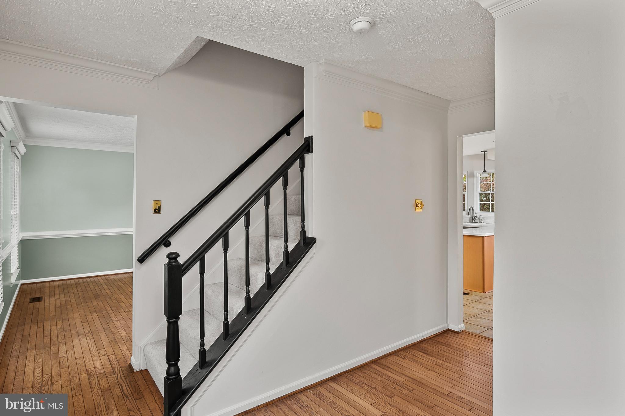 CHESTNUT FARMS - Residential