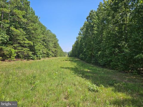 Vacant Land For Sale - 100 AC W James Anderson Highway<br/> Buckingham County, GLADSTONE, VA 24553