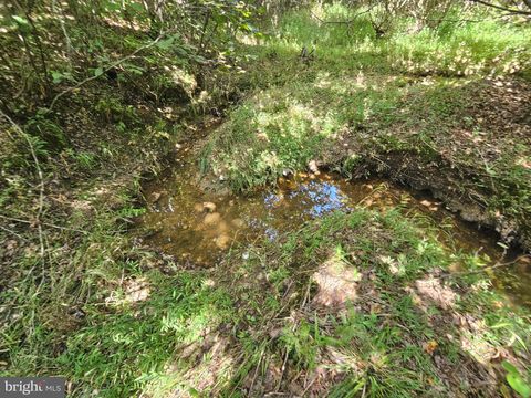 Vacant Land For Sale - 100 AC W James Anderson Highway<br/> GLADSTONE, VA 24553