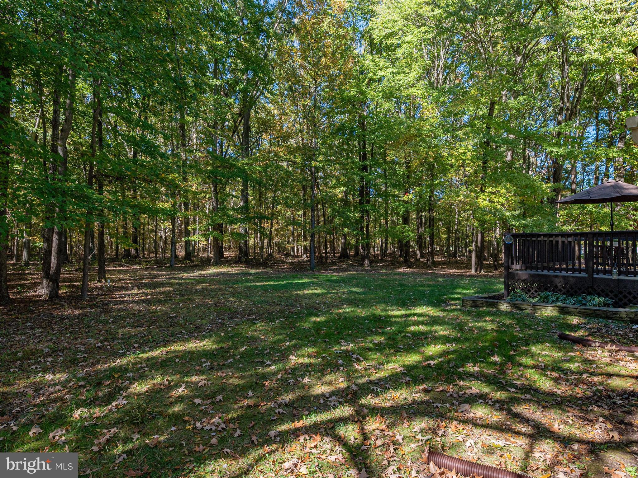 CEDARLEA - Residential