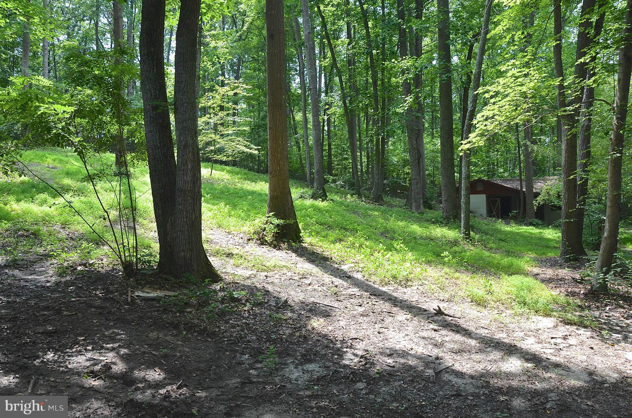 WITHERNSEA - Residential