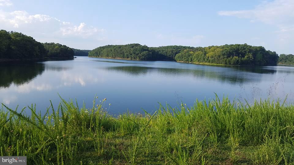 LAKE FREDERICK - Residential Lease