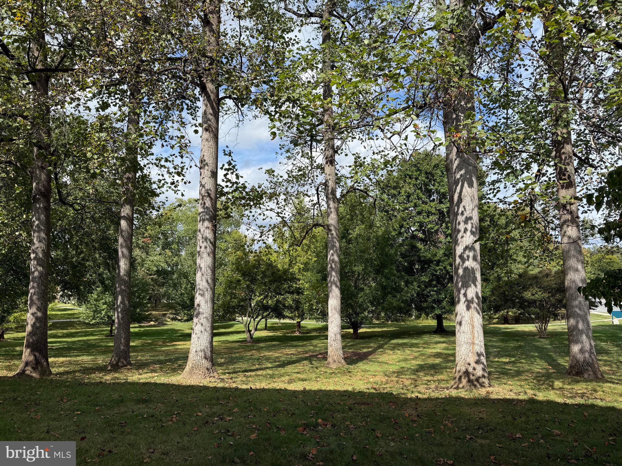 LEISURE WORLD - Residential